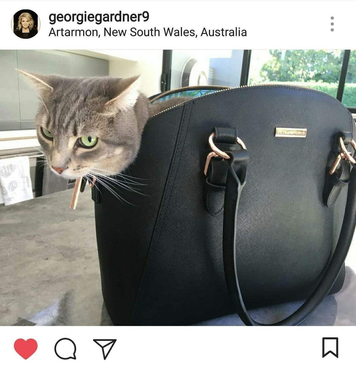 TODAY SHOW host GEORGIE GARDNER sharing her bag